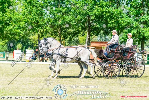 20260710-155019-DSC_9647.jpg