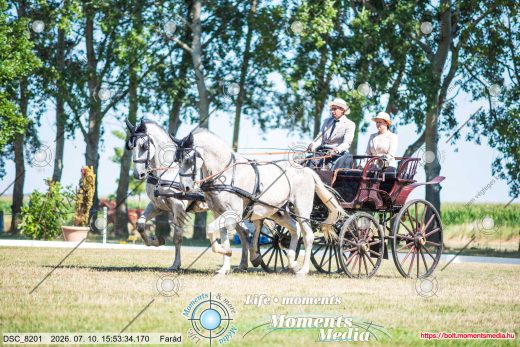 Mintakép 20260710-1031