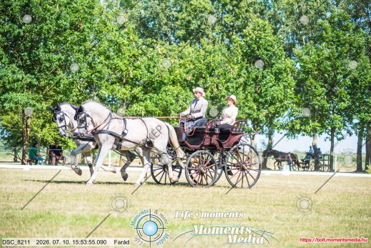Mintakép 20260710-1033