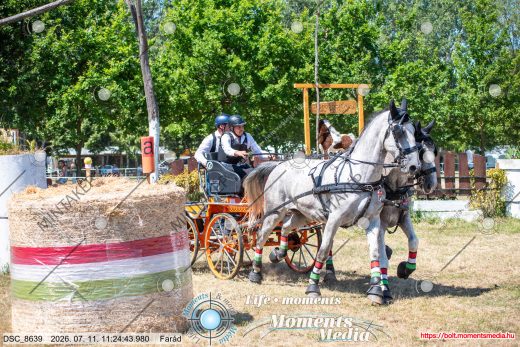 Mintakép 20260711-1149