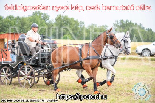 Mintakép 20260613-7