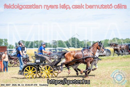 Mintakép 20260613-1016