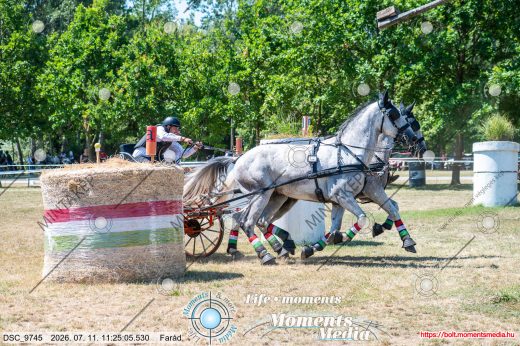 Mintakép 20260711-1163