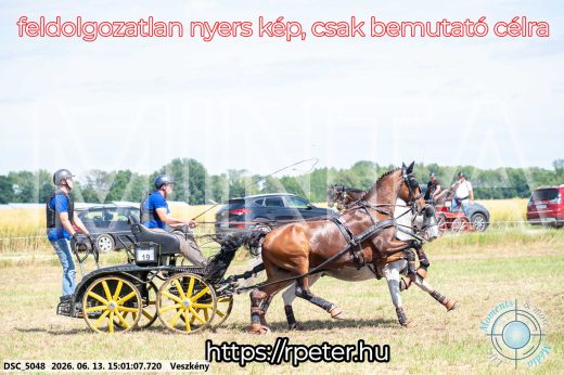 Mintakép 20260613-1017
