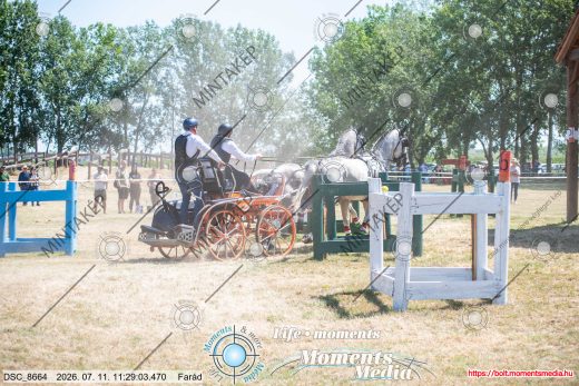 Mintakép 20260711-1173