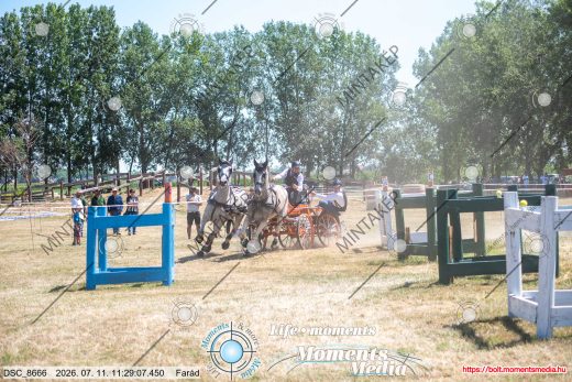 Mintakép 20260711-1175