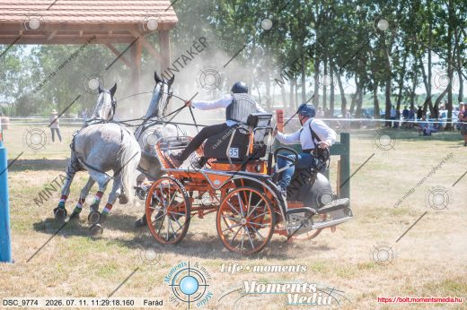 Mintakép 20260711-1190