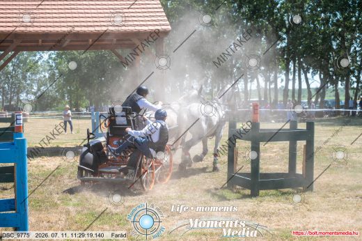 Mintakép 20260711-1191