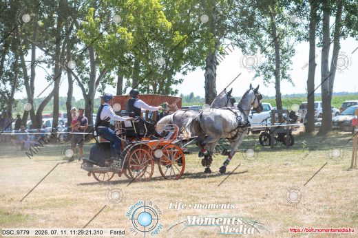 Mintakép 20260711-1195