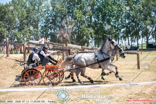 Mintakép 20260711-1204