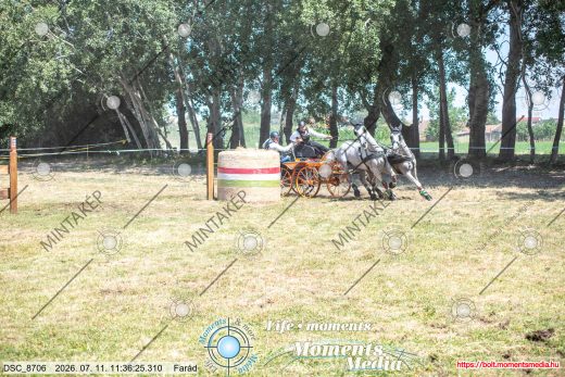 Mintakép 20260711-1210