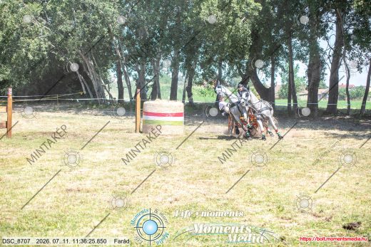 Mintakép 20260711-1211