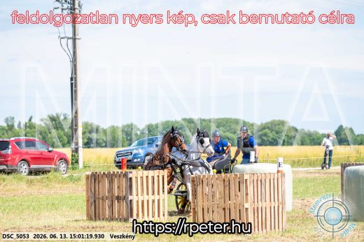 Mintakép 20260613-1022