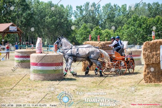 Mintakép 20260711-1231