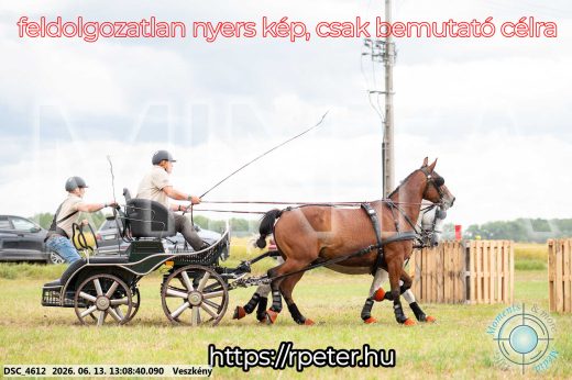 Mintakép 20260613-8