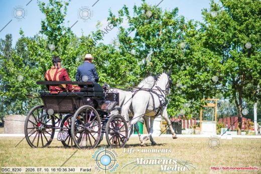 20260710-161036-DSC_8230.jpg