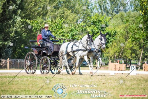 Mintakép 20260710-1053