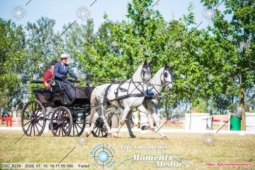 Mintakép 20260710-1054