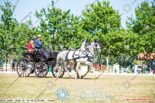 Mintakép 20260710-1055