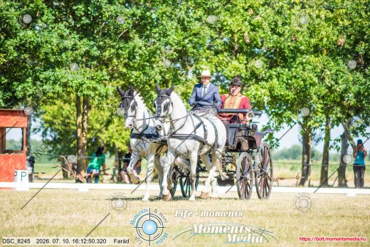 Mintakép 20260710-1060
