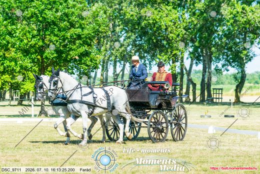 Mintakép 20260710-1064