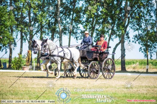 Mintakép 20260710-1066