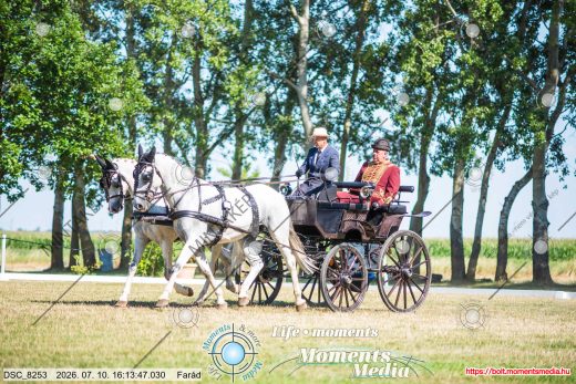 Mintakép 20260710-1067