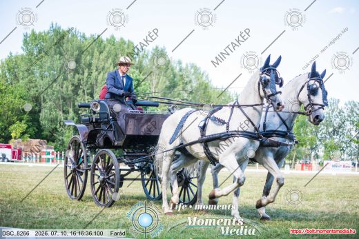 Mintakép 20260710-1073