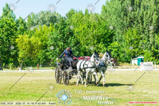 Mintakép 20260710-1074