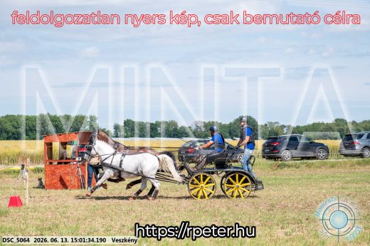 Mintakép 20260613-1033