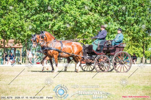 20260710-162012-DSC_8278.jpg