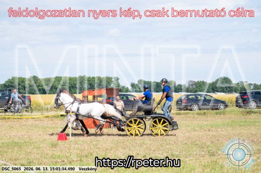 Mintakép 20260613-1034