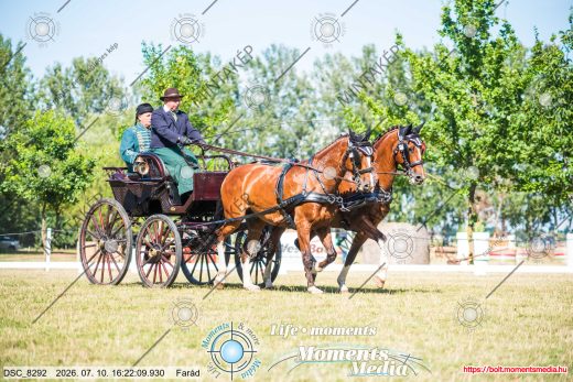 Mintakép 20260710-1097