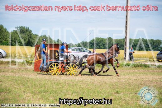 Mintakép 20260613-1036