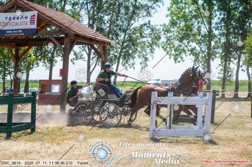 Mintakép 20260711-1269