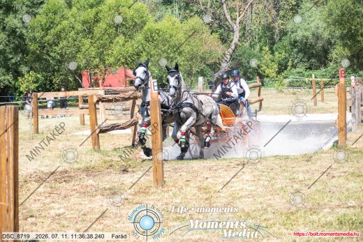 Mintakép 20260711-1271