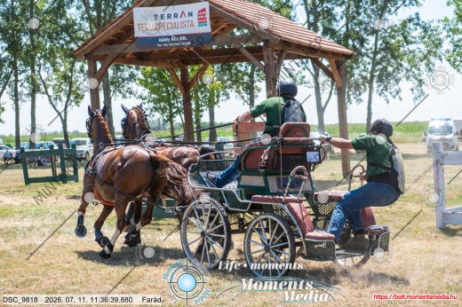 Mintakép 20260711-1273