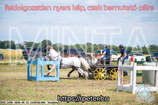 Mintakép 20260613-1040