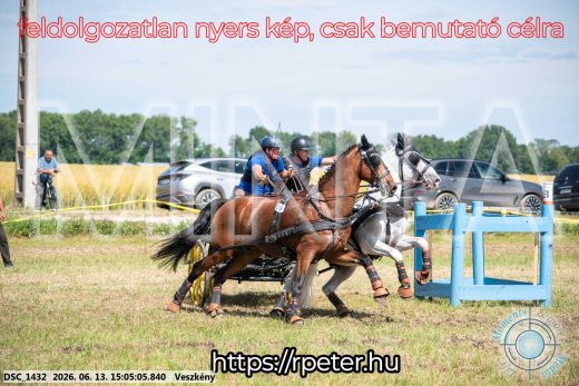 Mintakép 20260613-1042