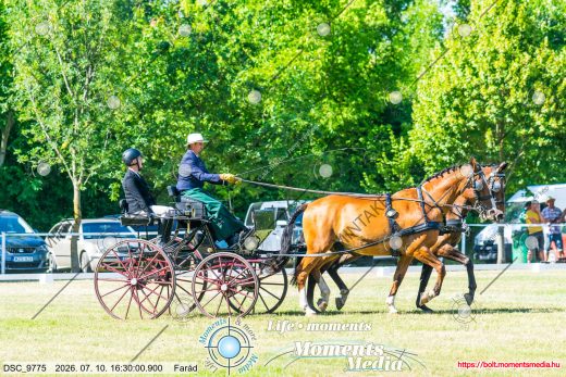 20260710-163000-DSC_9775.jpg