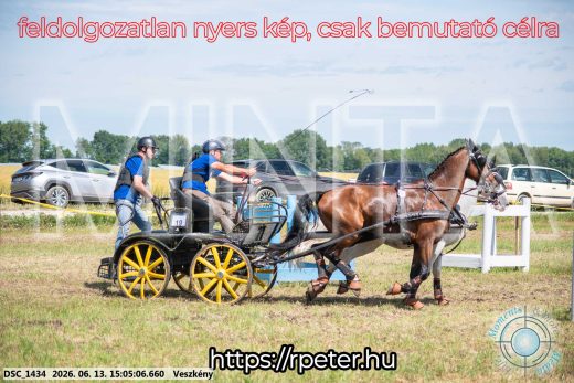 Mintakép 20260613-1044