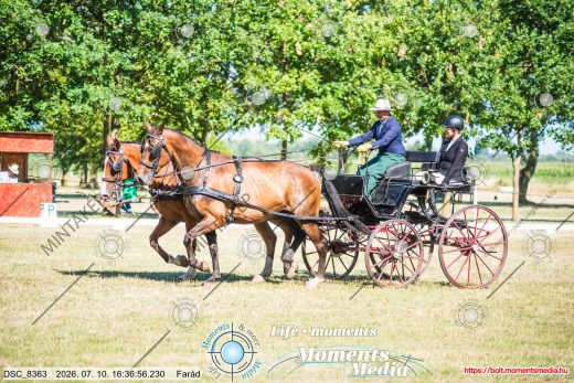 Mintakép 20260710-1146