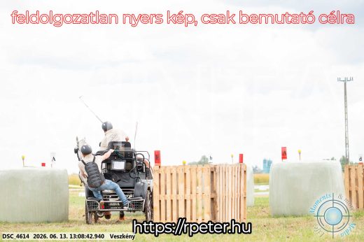 Mintakép 20260613-11