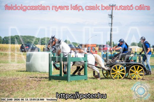 Mintakép 20260613-1058