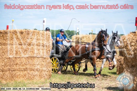 Mintakép 20260613-1061