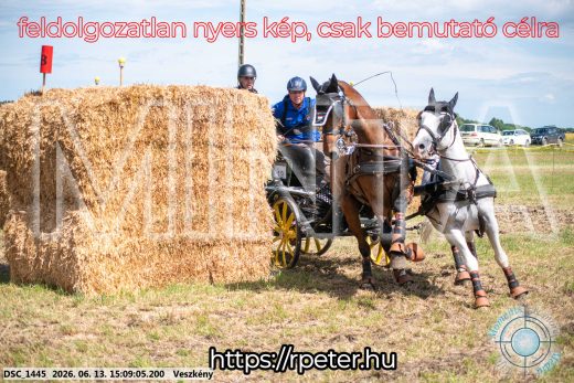 Mintakép 20260613-1063