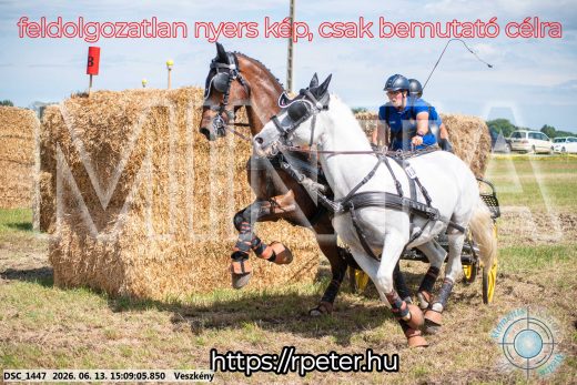 Mintakép 20260613-1065