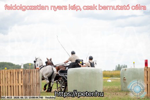 Mintakép 20260613-12