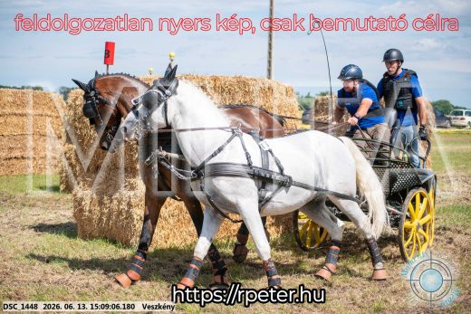 Mintakép 20260613-1066