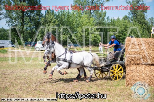 Mintakép 20260613-1069